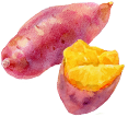 イメージ画像