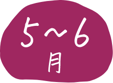5~6月