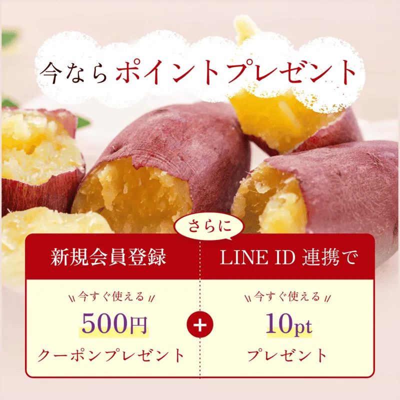 今ならポイントプレゼント　新規会員登録で今すぐ使える500円クーポンプレゼント　さらにLINE ID連携で今すぐ使える10ptプレゼント