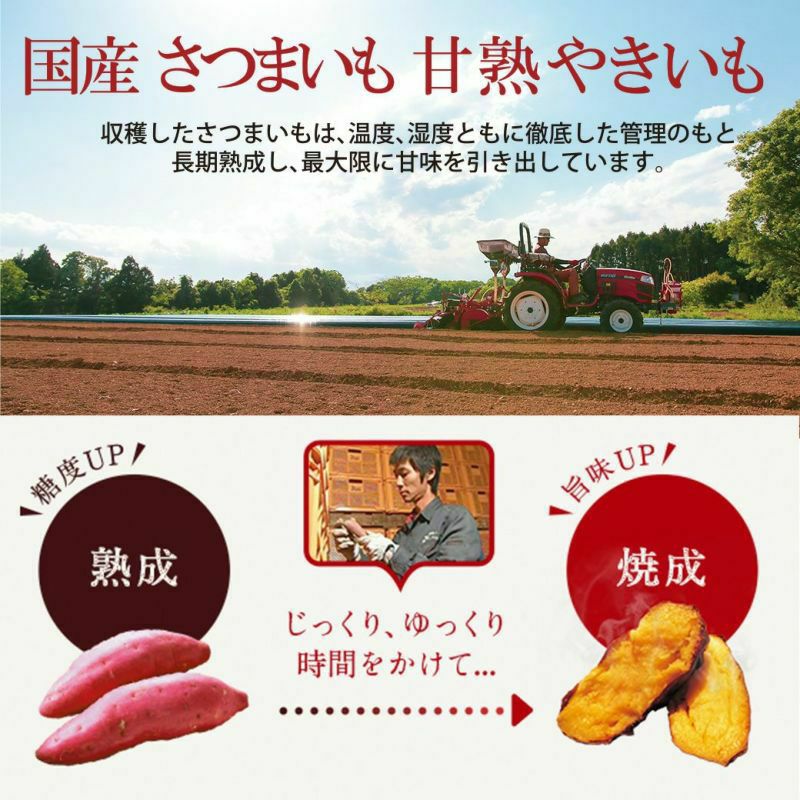 蜜たっぷり紅はるかの甘熟やきいも（25袋） | 【公式通販】らぽっぽ