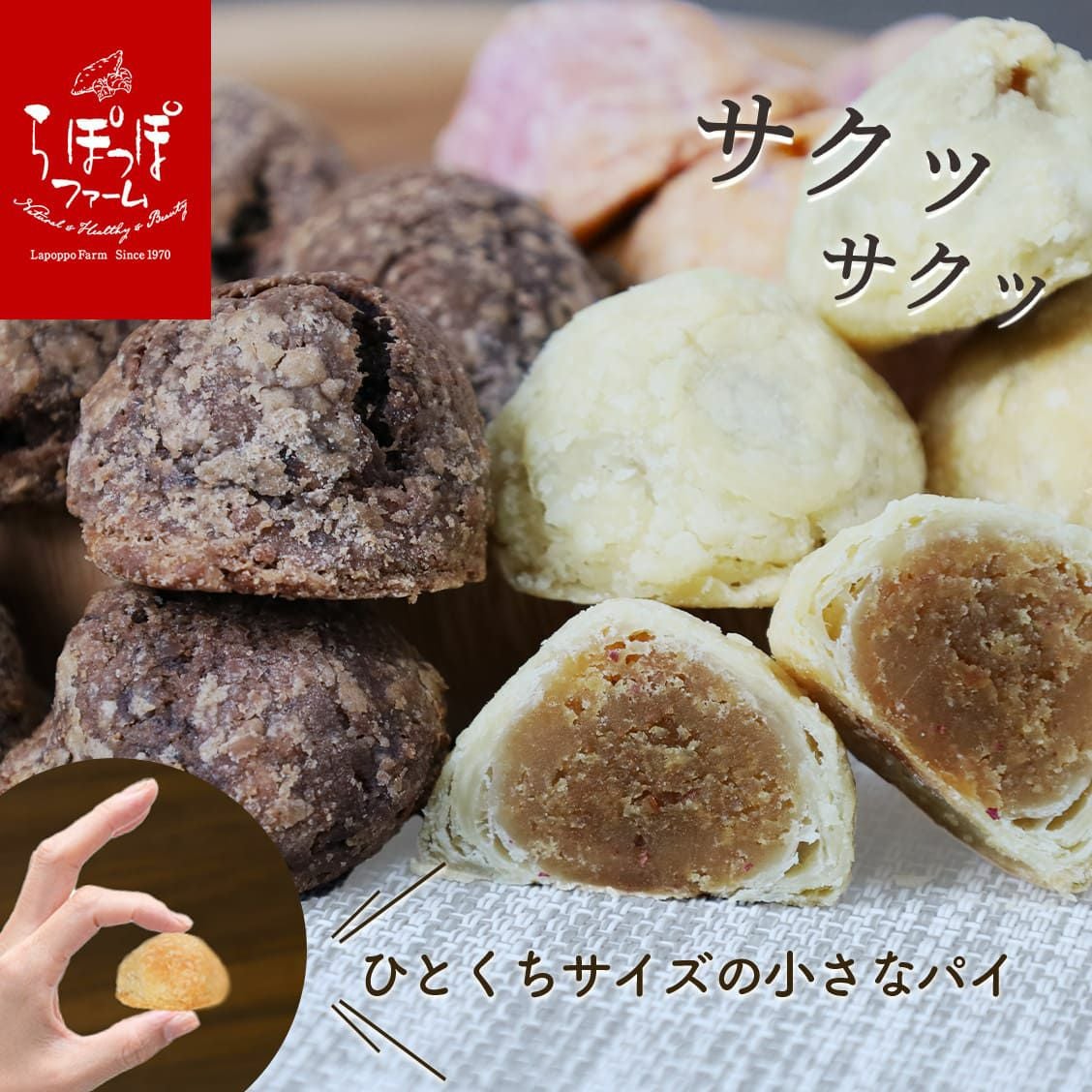 らぽっぽ おさつ木の実パイセット(プレーン・チョコ・紫芋) | 【公式