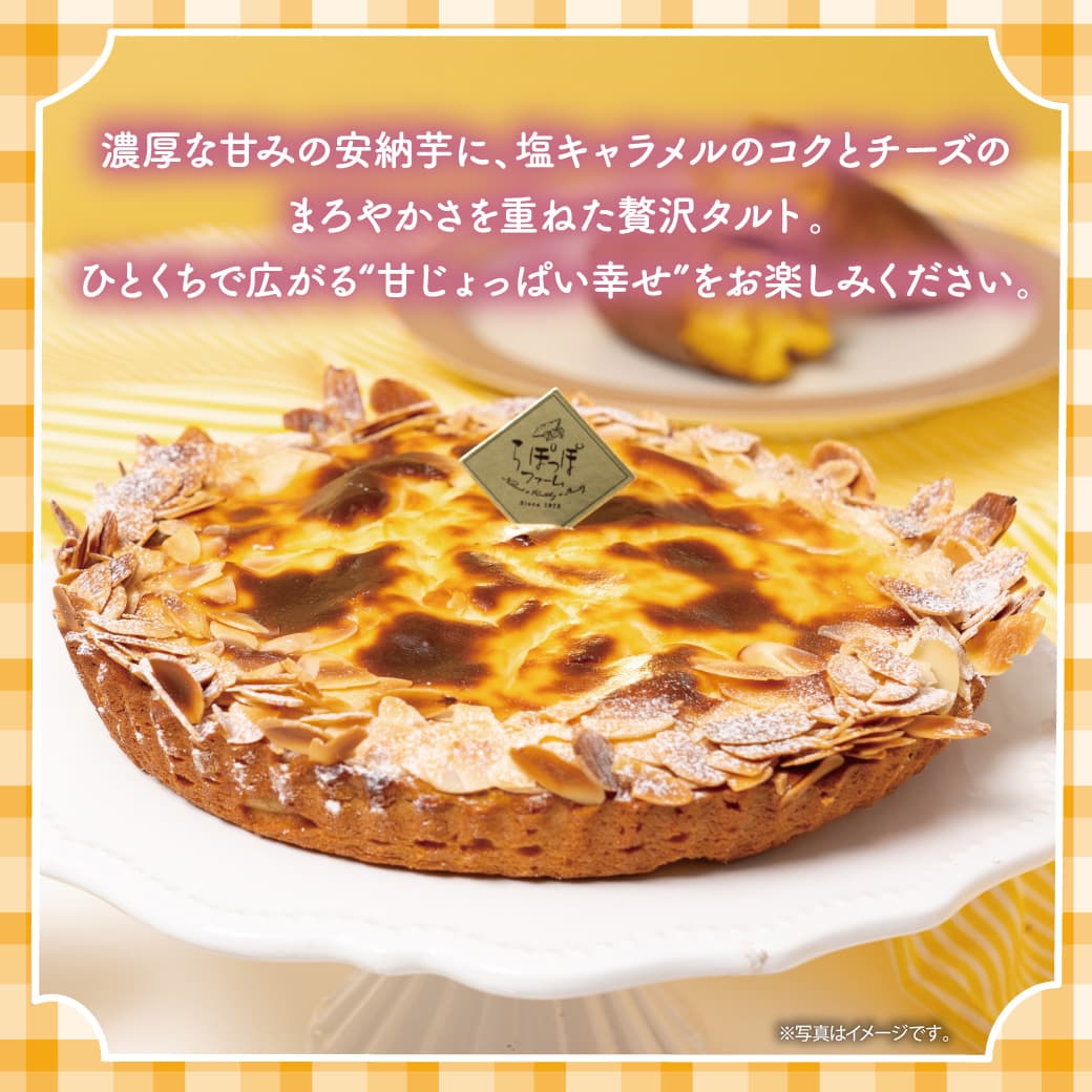 らぽっぽ　安納芋の塩キャラメルチーズタルト